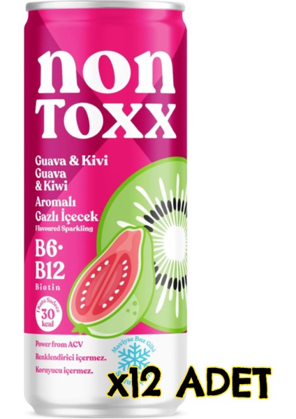 Guava & Kivi Aromalı Sirkeli Gazlı Içecek 250 ml x 12 Adet (Koli)