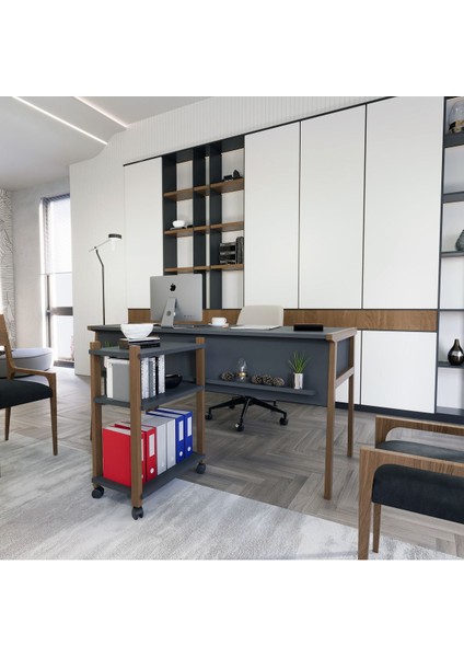 Zenith Kitaplık Antrasit Ceviz