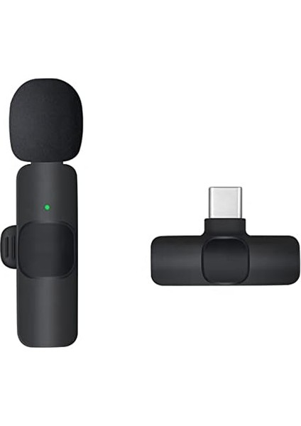 Type-C Kablosuz Cep Telefonu Için Gürültü Önleyicili Profesyonel Dış Mekan Mikrofonu USB C Girişli Vlog Canlı Yayın Youtuber Kablosuz Yaka Mikrofonu (Siyah)