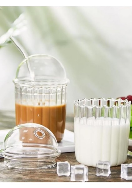 Kapaklı Pipetli Borosilikat Sunum Bardağı, Isıya Dayanıklı Bardak, Kahve Bardağı (550 Ml) Icemocha
