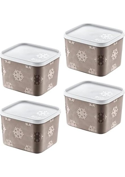 4'lü Set No Frost Saklama Kabı Terra 1250 ml