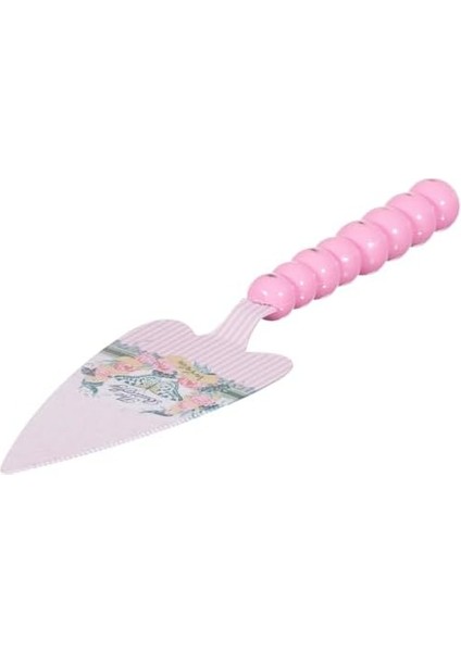 Pasta Seti Yeni fiyatları