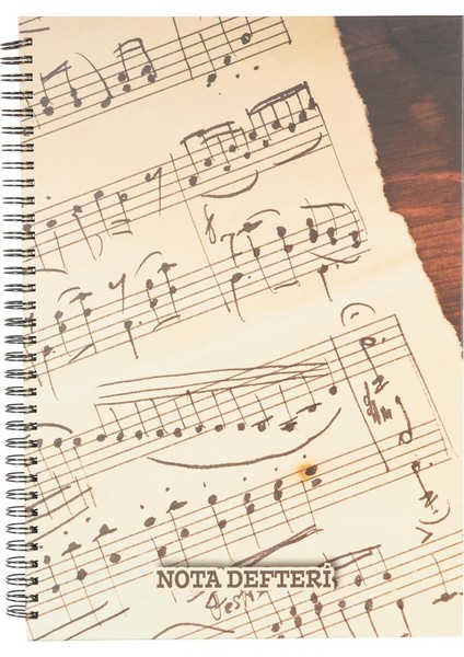 Color A4 80 Yp.sert Kapak Spiralli Müzik Defteri