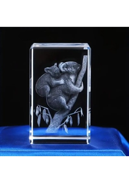 3D Kristal Koala Modeli Tdrtr