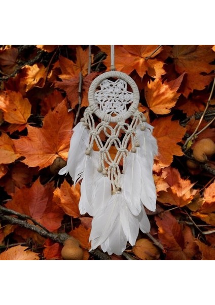 Yıldız Motifli Ekru Renk Düş Kapanı Hediyelik Duvar Süsü Tdrtr fiyatları