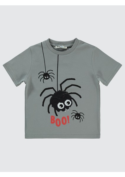 Erkek Çocuk Tişört 2-5 Yaş Gri fiyatları