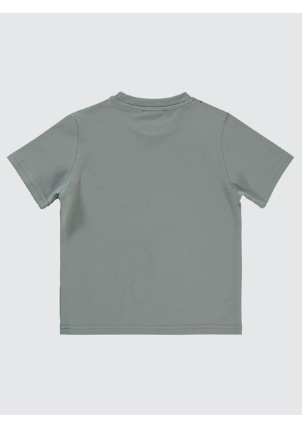 Erkek Çocuk Tişört 2-5 Yaş Gri modelleri