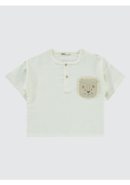 Erkek Çocuk Takım 2-5 Yaş Bej modelleri