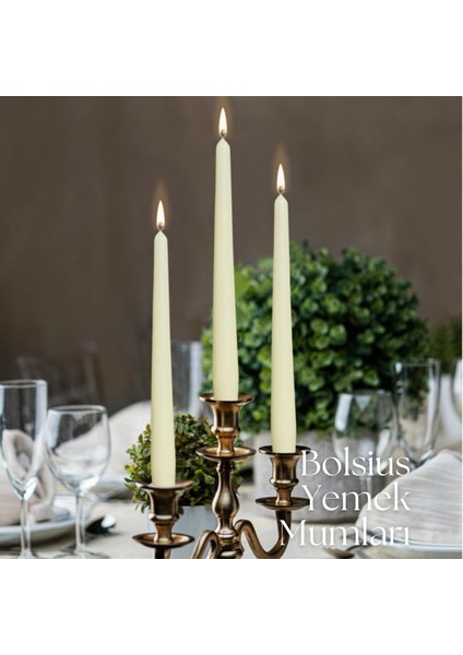 Fildişi Renkli Konik Şamdan Yemek Mumu 7,5 Saat Yan Ma Süreli 24,5 cm (12'li Kutu) modelleri