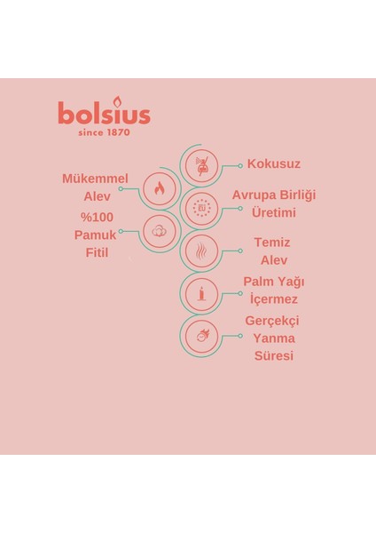 Fildişi Renkli Konik Şamdan Yemek Mumu 7,5 Saat Yan Ma Süreli 24,5 cm (12'li Kutu) fırsatları