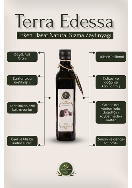Erken Hasat Naturel Sızma Zeytinyağı - 500 ml - Mezopotamya'nın Bereketli Lezzeti