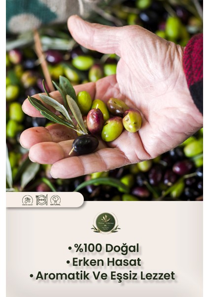Erken Hasat Naturel Sızma Zeytinyağı - 500 ml - Mezopotamya'nın Bereketli Lezzeti