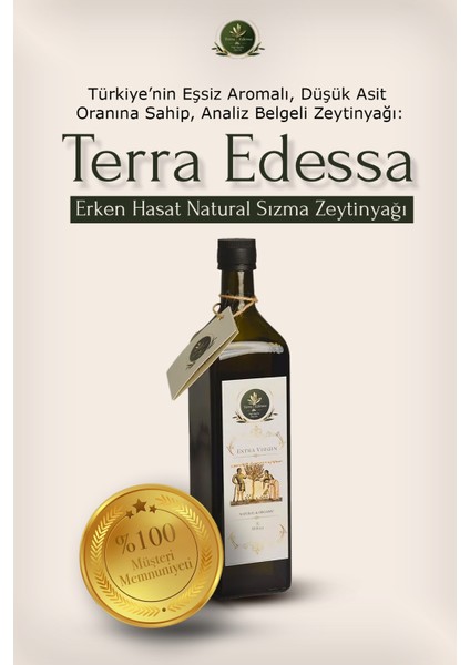 Erken Hasat Naturel Sızma Zeytinyağı - 1 Lt - High Quality Olive Oil modelleri