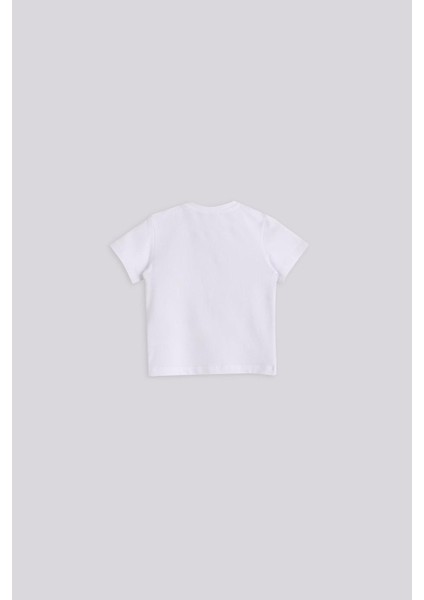 Bg Store Erkek Bebek Kırmızı Şort Tshirt Takım fiyatları