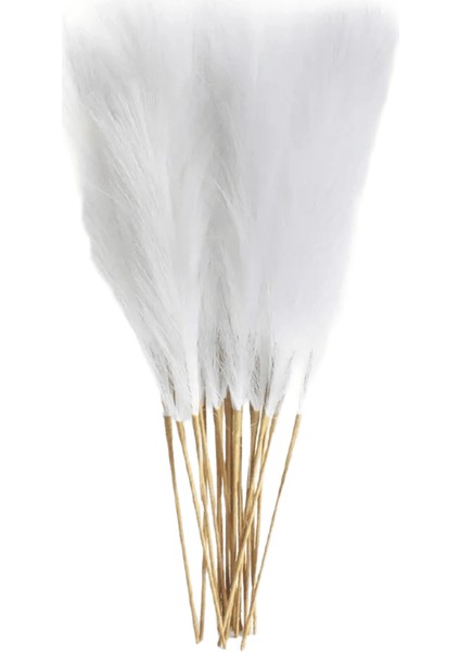 6 Adet Yapay Pampas Çim Dekor Çiçekler Dıy Çiçek Masa Düzenlemek Için Sahte Bitki Kamış Çiçek Düğün Ev Noel Dekorasyonrenk: Beyaz / Boyut: 6 Adet Paket (Yurt Dışından)