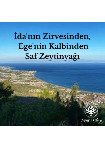 Zeytinyağı Erken Hasat Soğuk Sıkım Natürel Sızma Zeytinyağı 2'Lİ 5LT Teneke