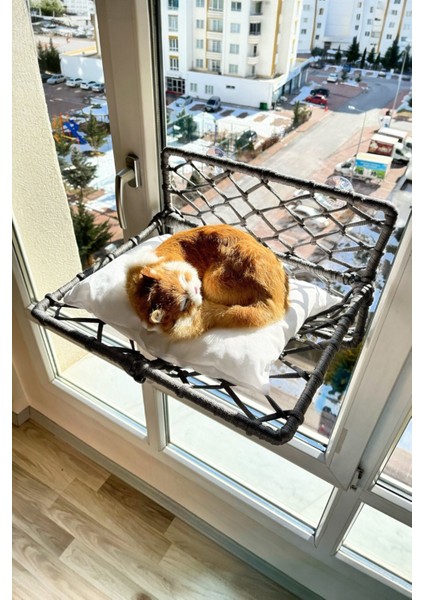 Katlanır Kedi Köpek Cam Yatağı, El Yapımı Vantuzlu Kedi Köpek Cam Hamağı, 45CM*35CM fırsatları