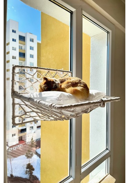 Katlanır Kedi Köpek Cam Yatağı, El Yapımı Vantuzlu Kedi Köpek Cam Hamağı, 45CM*35CM