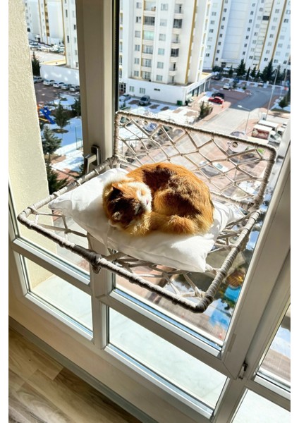 Katlanır Kedi Köpek Cam Yatağı, El Yapımı Vantuzlu Kedi Köpek Cam Hamağı, 45CM*35CM modelleri