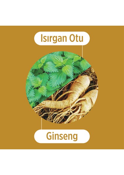 Isırgan Otu ve Ginseng Özlü 3'lü Saç Bakım Seti - Zayıf ve Dökülen Saçlar Için Bakım Seti fiyatları