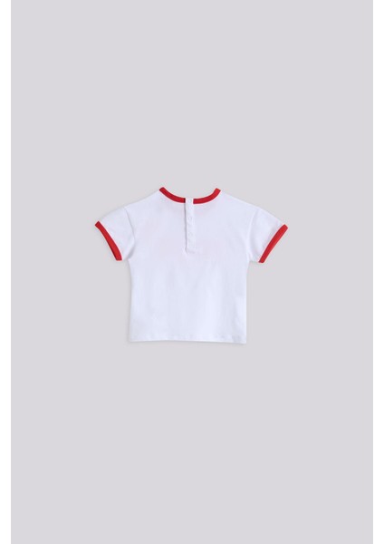 Bg Store Erkek Bebek Kırmızı Şort ve Tshirt Takımı fiyatları