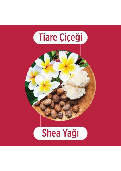 Tiare Çiceği ve Shea Yağı Özlü Bukle Belirginleştirici Saç Bakım Kremi - Dalgalı ve Kıvırcık Saçlar İçin Bakım Kremi 250 ml fiyatları