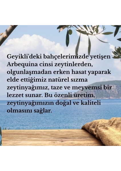 Zelena Zeytinyağı Erken Hasat Soğuk Sıkım Yüksek Polifenollü Zeytinyağı 500ML Cam Şişe