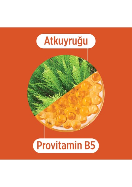 Atkuyruğu Bitki Özü ve Provitamin B5 Özlü Onarıcı & Koruyucu Şampuan - Işlem Görmüş ve Yıpranmış Saçlar Için Şampuan 400 ml