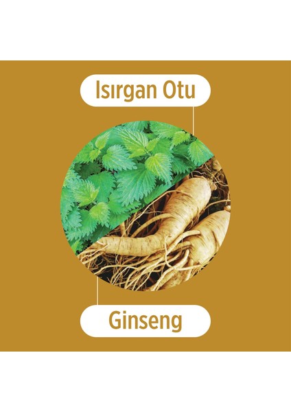 Isırgan Otu ve Ginseng Özlü Saç Toniği - Zayıf ve Dökülen Saçlar Için Tonik 200 ml
