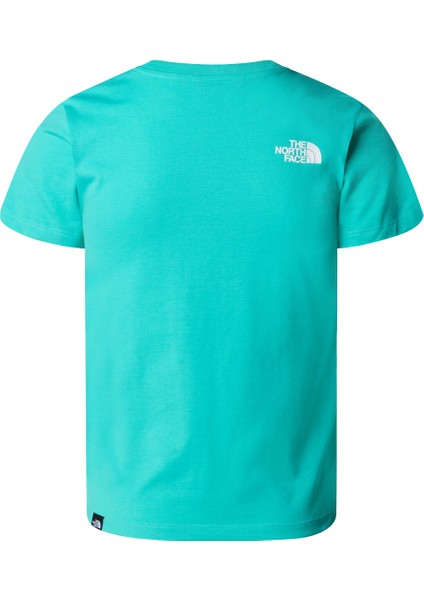 Teen S/s Simple Dome Tee Erkek T-Shirt - NF0A87T4 fiyatları