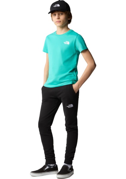 Teen S/s Simple Dome Tee Erkek T-Shirt - NF0A87T4 modelleri