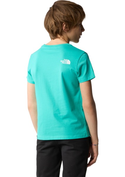 Teen S/s Simple Dome Tee Erkek T-Shirt - NF0A87T4 fırsatları