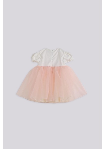 Bg Store Kız Çocuk Renkli Elbise