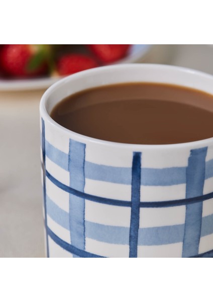 Alize Kareli Mug 390 ml fiyatları