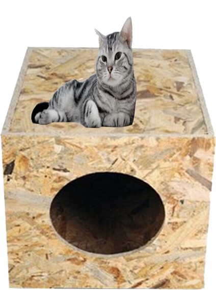 Kedi Evi Dış Ortam Uygun Ahşap Kedi Evi Osb 40x30x30 cm