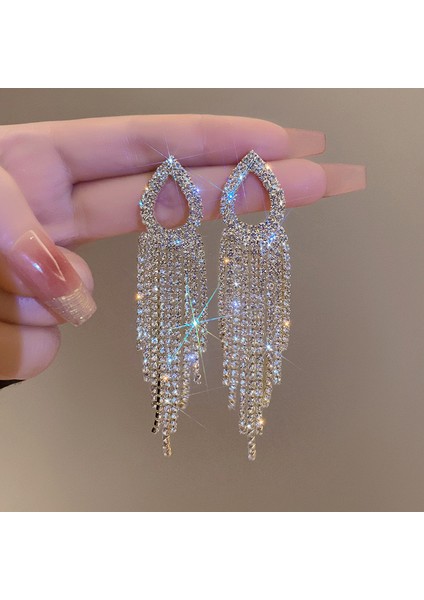 Üst Düzey ve Atmosferik Internet Ünlü Mizaç Küpeleri Avrupa ve Amerikan Modası Abartılı Elmas Taklidi Uzun Püskül Küpeler (Yurt Dışından)