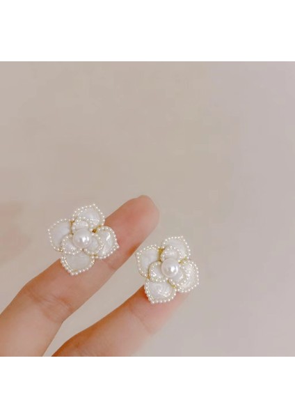 Yeni Zarif Küpeler, Popüler Internet Ünlü Küpeleri, Üst Düzey Küpeler, Kişiselleştirilmiş Moda Küpeler (Yurt Dışından)