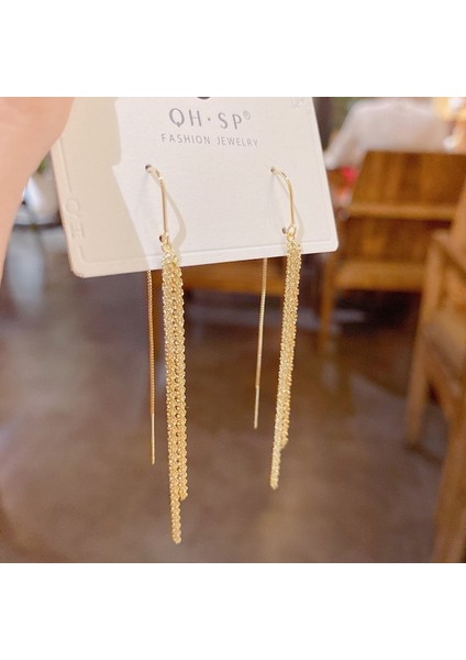 Popüler 925 Gümüş Iğne Küpe Klasik Geometrik Uzun Püskül Küpe (Yurt Dışından)