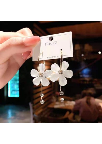 Kadınlar Için Moda Mizaç Uzun Püskül Yaz Popüler Küpeler Süper Parlak Üst Düzey Hafif Lüks Küpeler (Yurt Dışından)