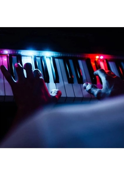 Piyano Ledi, Piano LED Plus, Şerit LED