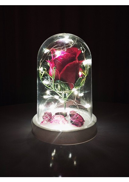 Işıklı Dekoratif Gül Teraryumu – Sevgiliye, Anneye Özel Hediye - 10 cm x 14 cm Ebatları