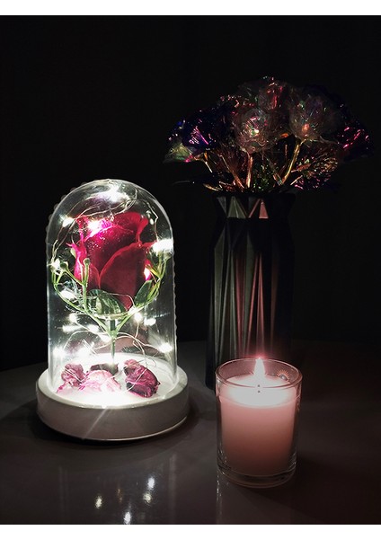 Işıklı Dekoratif Gül Teraryumu – Sevgiliye, Anneye Özel Hediye - 10 cm x 14 cm Ebatları modelleri