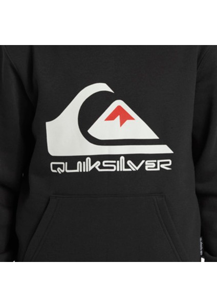 Big Logo Hoodie Youth Erkek Çocuk Sweatshirt modelleri