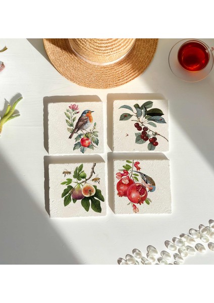 Kuş, Meyve ve Çiçek Desenli Doğal Taş Bardak Altlığı 4’lü Set Sunum modelleri