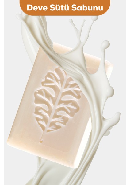 Deve Sütü Sabunu 100G – Yumuşatıcı ve Besleyici Etki