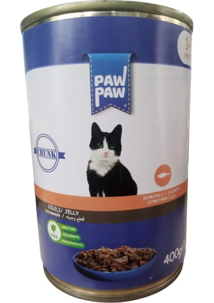 Paw Paw Somonlu Kedi Konservesi