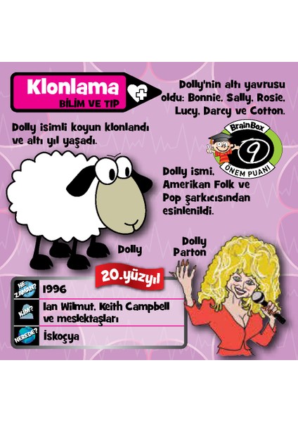 Green Board Brain Box İcatlar 99015