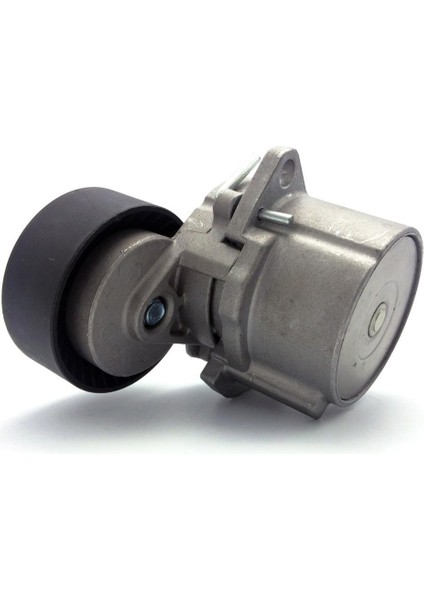 Bmw 3 Serisi E46 318I V Kayış Gergisi Komple