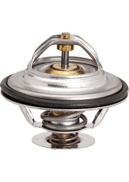 Bmw 5 Serisi E39 525I Termostat