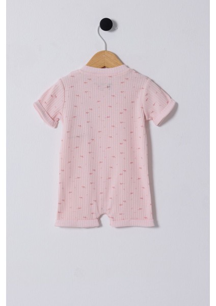 Kız Bebek Pudra Tulum fiyatları